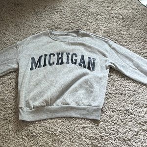grey michigan crewneck